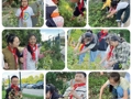 粒粒花生情，浓浓丰收乐——李堡镇中心小学“花生节”劳动实践活动纪实
