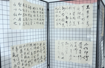 海安市青少年活动中心李堡镇中心小学办学点成果汇报展演